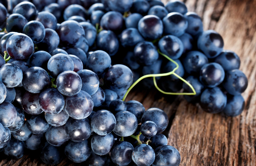 Vinagre de Vino Tinto Sin Conservantes 